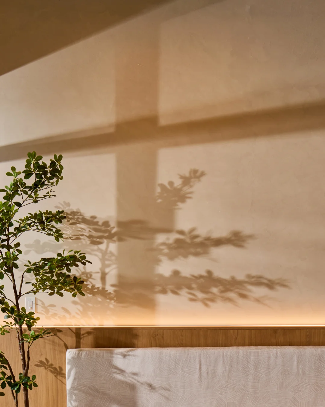 Soft light and warm tones in the café